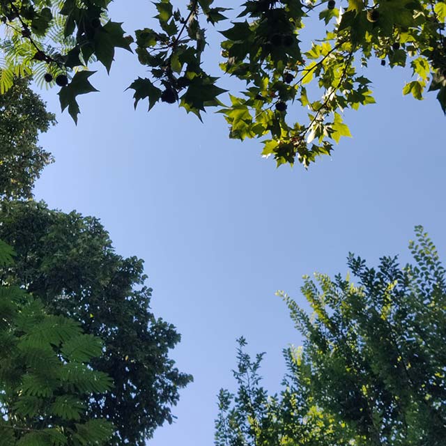 Photo Of Heart In Sky
